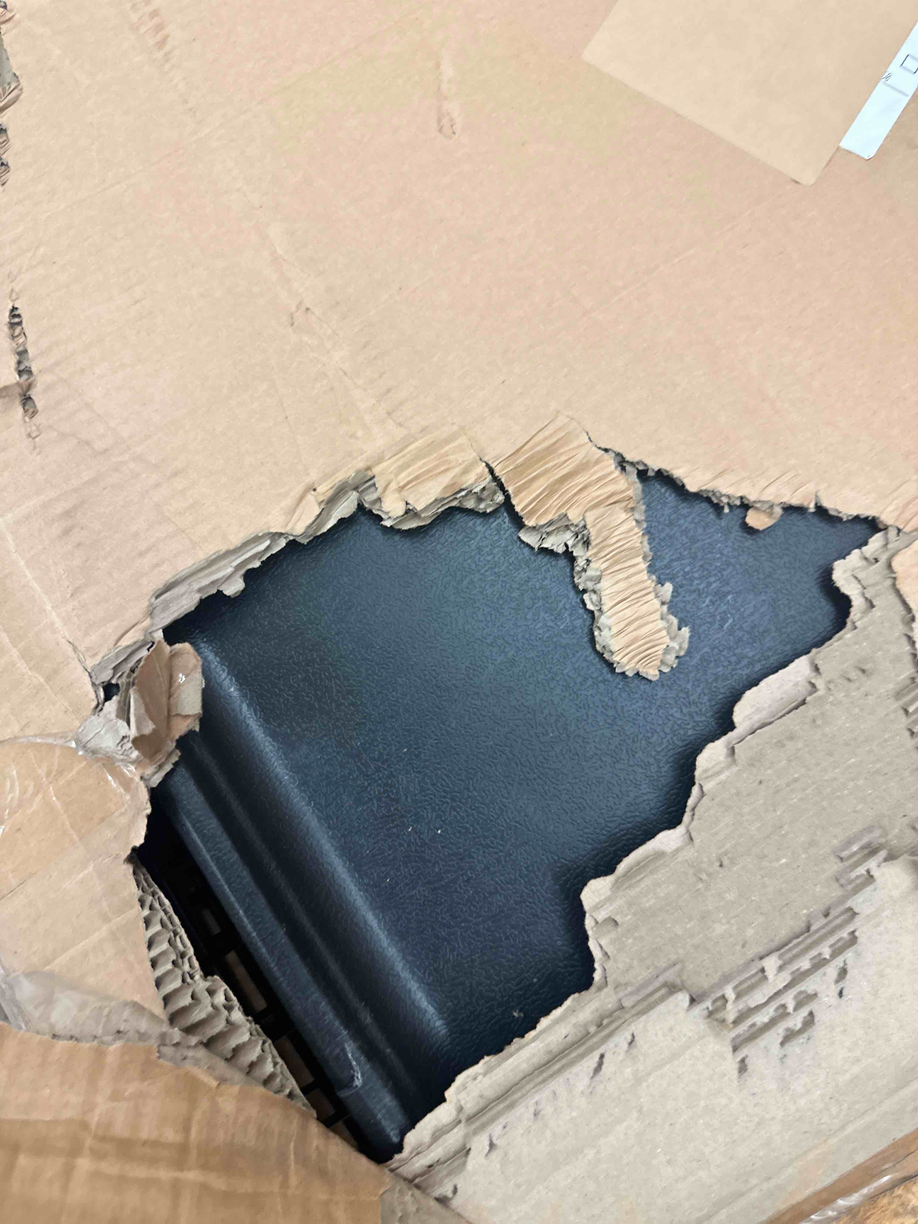 https://s3.amazonaws.com/lotting-images-prod/phillipi/YEL6033748_1722958963541.jpeg