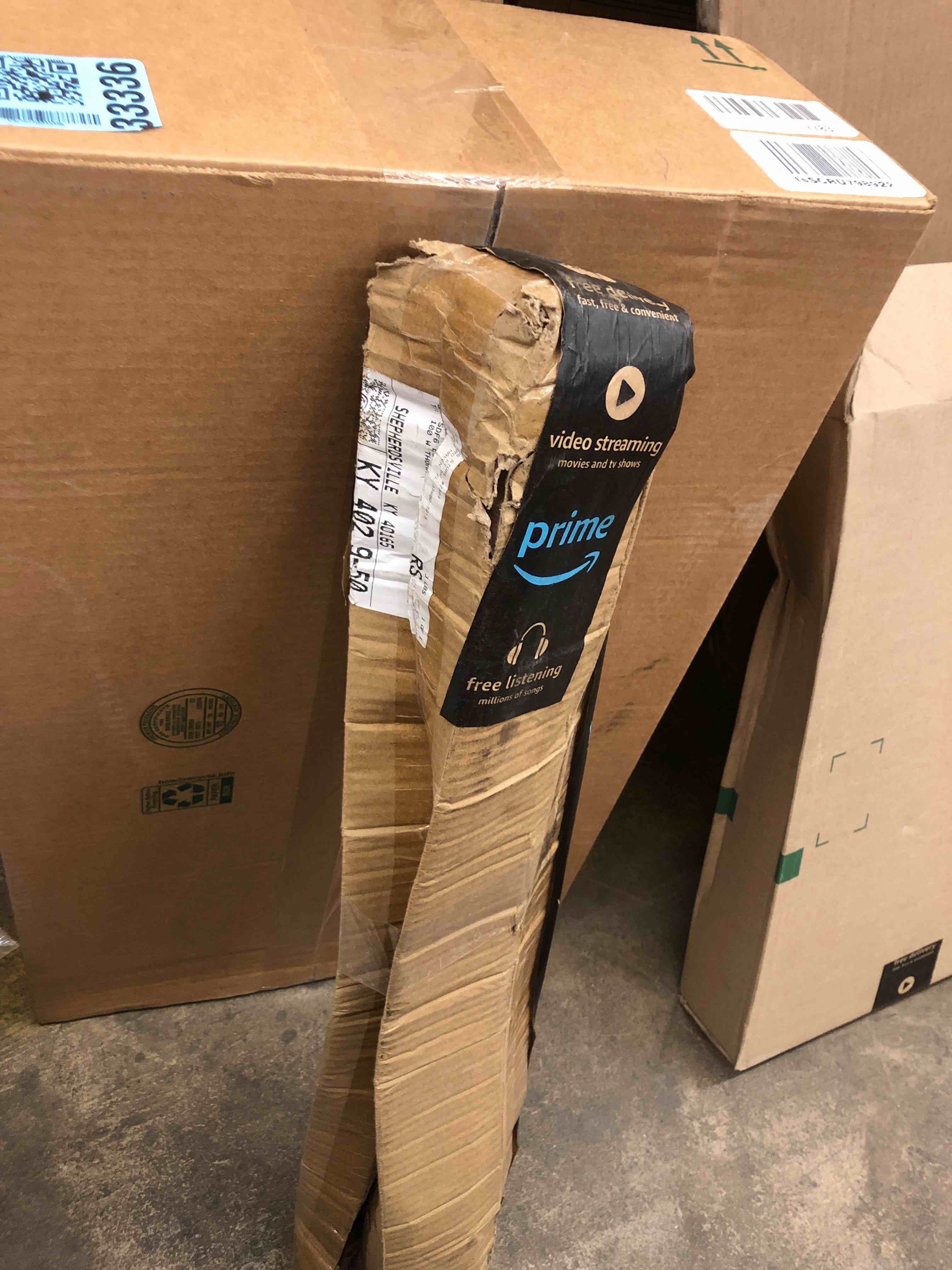 https://s3.amazonaws.com/lotting-images-prod/phillipi/YEL6034576_1729789235404.jpeg