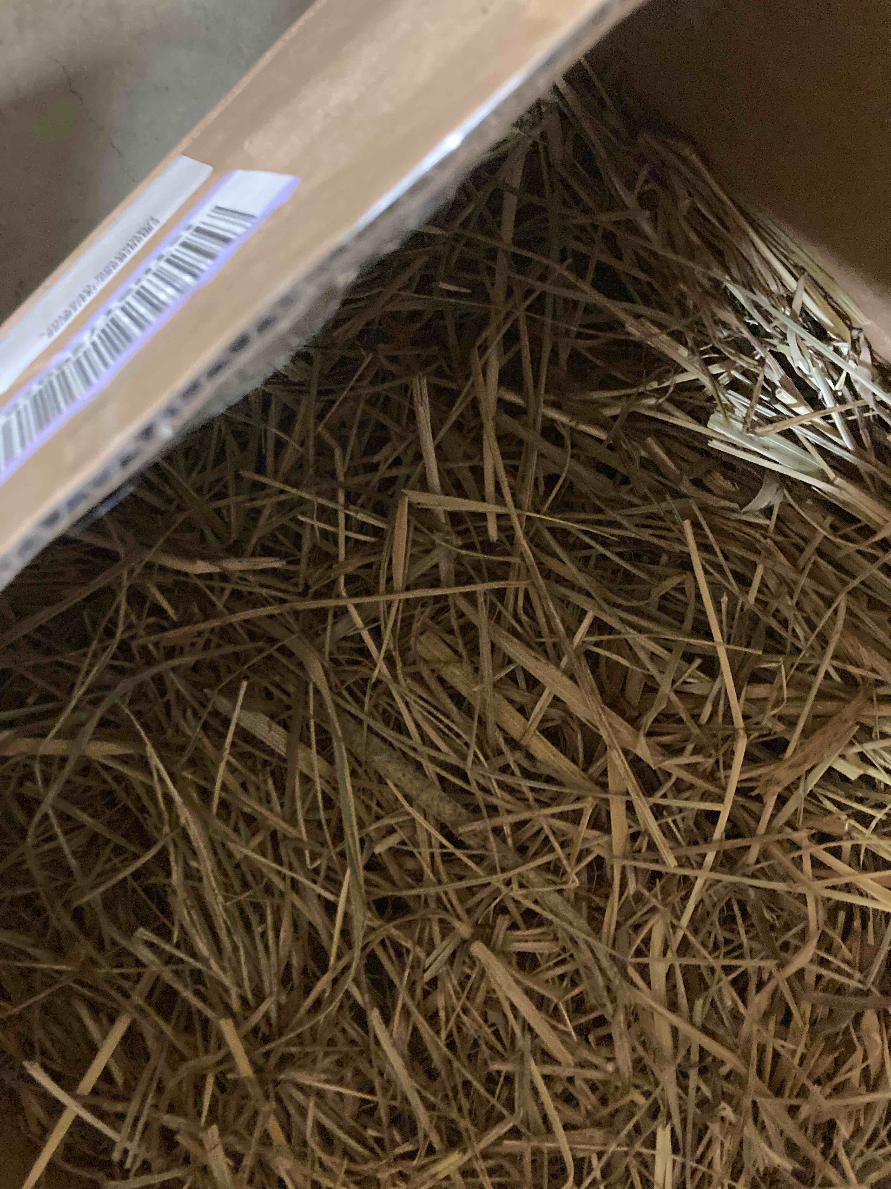 https://s3.amazonaws.com/lotting-images-prod/phillipi/YEL6040782_1724352078519.jpeg