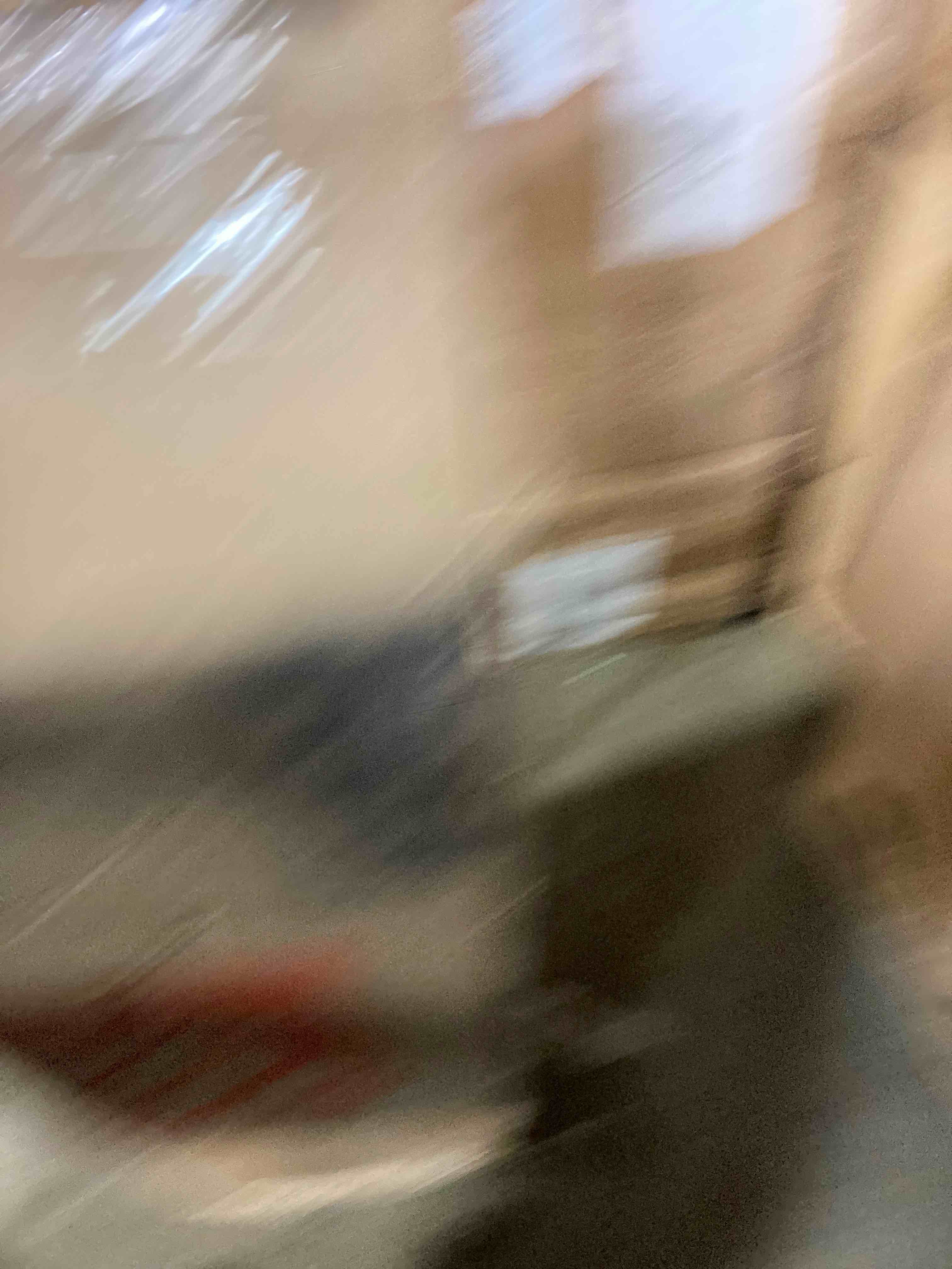 https://s3.amazonaws.com/lotting-images-prod/phillipi/YEL6040787_1724352817694.jpeg