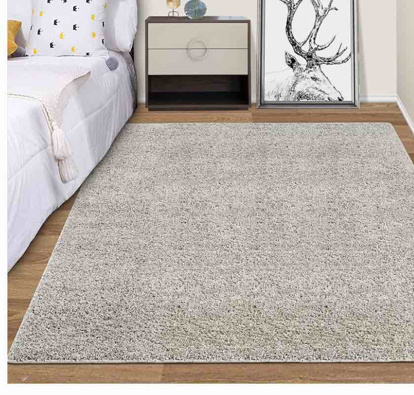 6' x 9' shag area rug