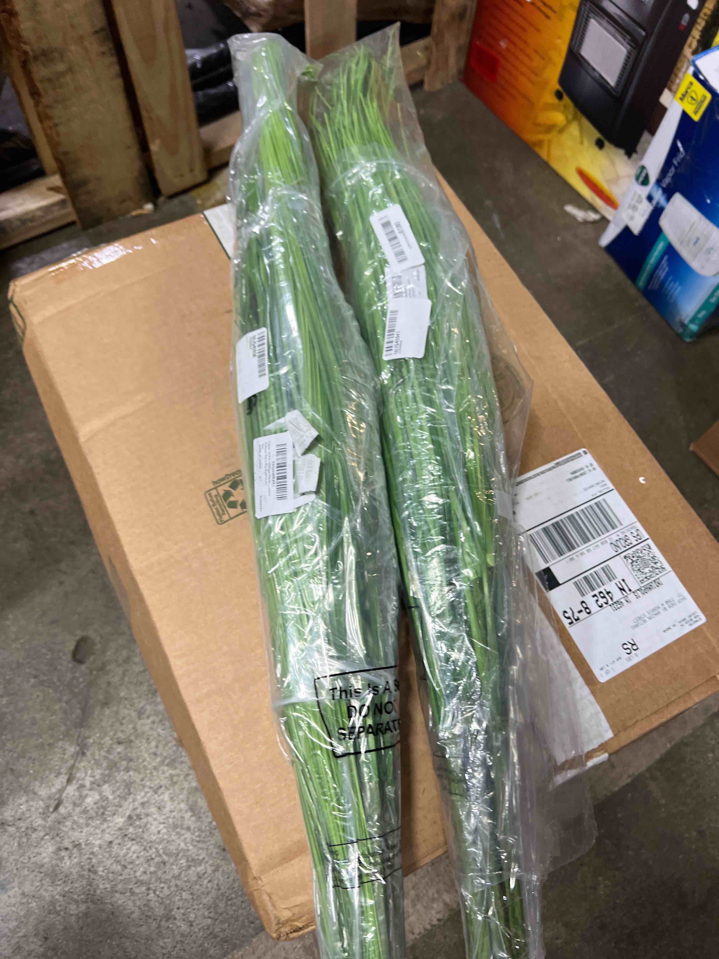 https://s3.amazonaws.com/lotting-images-prod/phillipi/YEL6042882_1726161582570.jpeg
