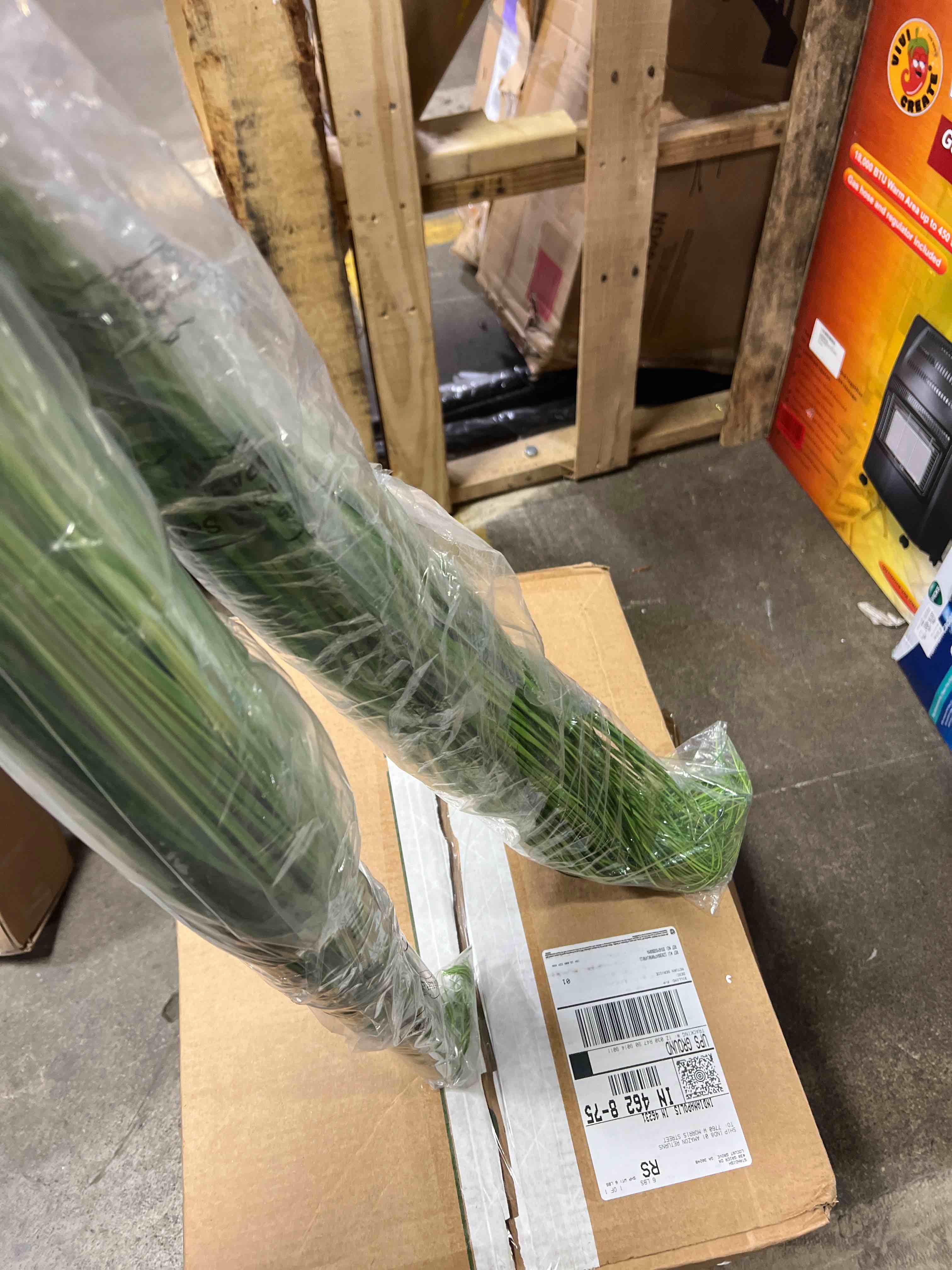 https://s3.amazonaws.com/lotting-images-prod/phillipi/YEL6042882_1726161586228.jpeg