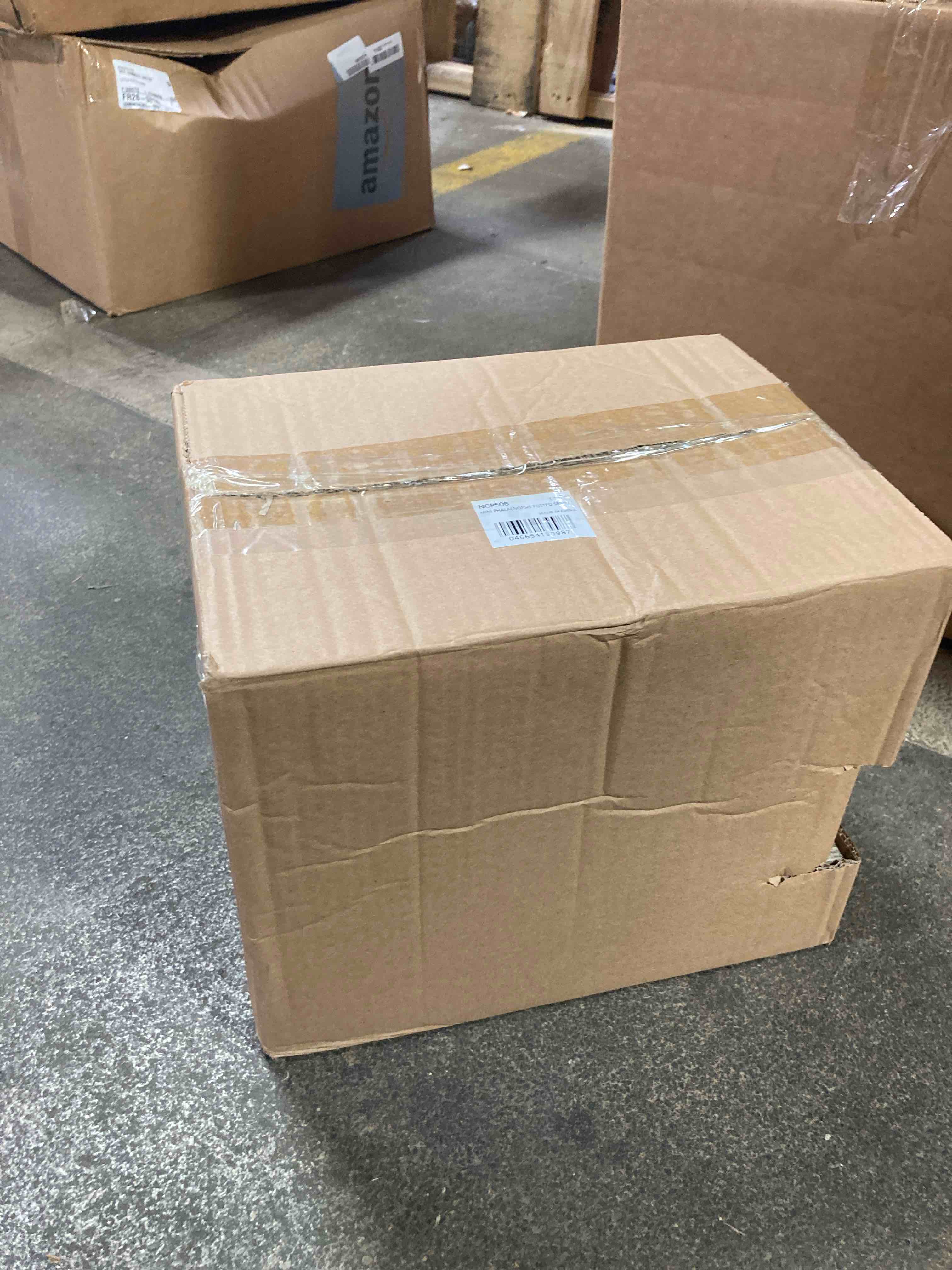 https://s3.amazonaws.com/lotting-images-prod/phillipi/YEL6042883_1726161443719.jpeg