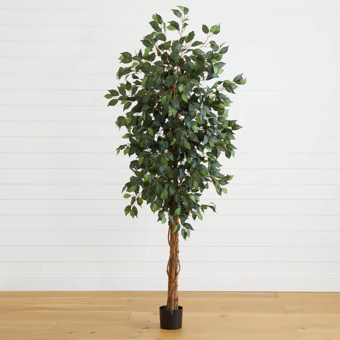 6' Artificial Ficus Silk Tree