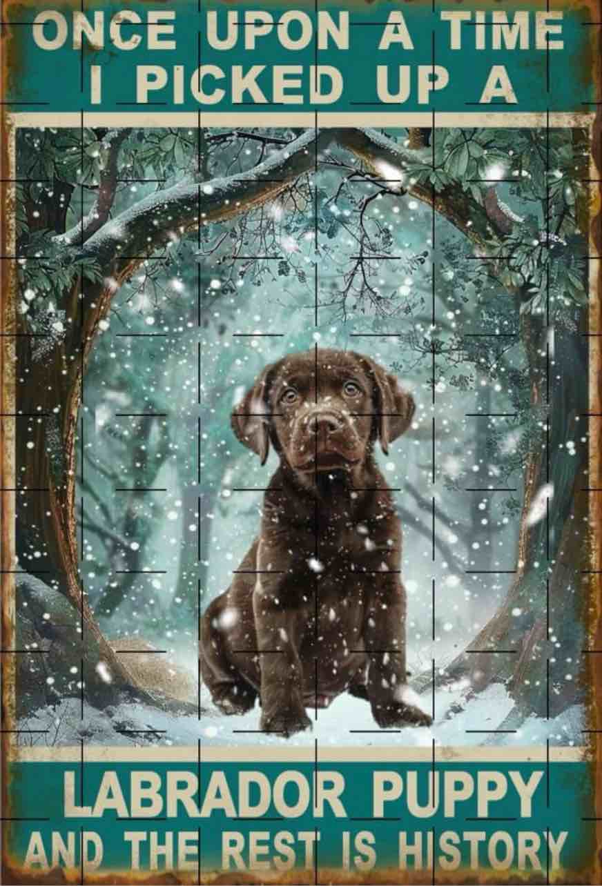 Dog Decor Once Upon A Time I Picked Up A Labrador Puppy And The Rest Is History Retro Metal Tin Sign Vintage Dog Wall Art For Cafe Living Room Kitchen Black Lab Gifts 8x12 Inch