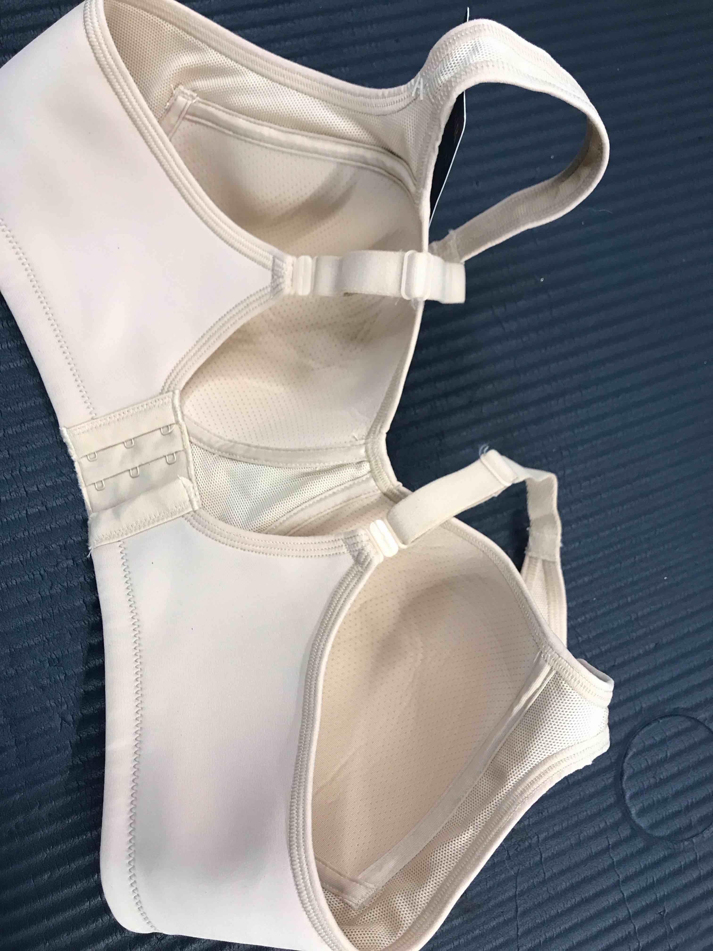 https://s3.amazonaws.com/lotting-images-prod/webster/DXD0200066_1777776538295.jpeg