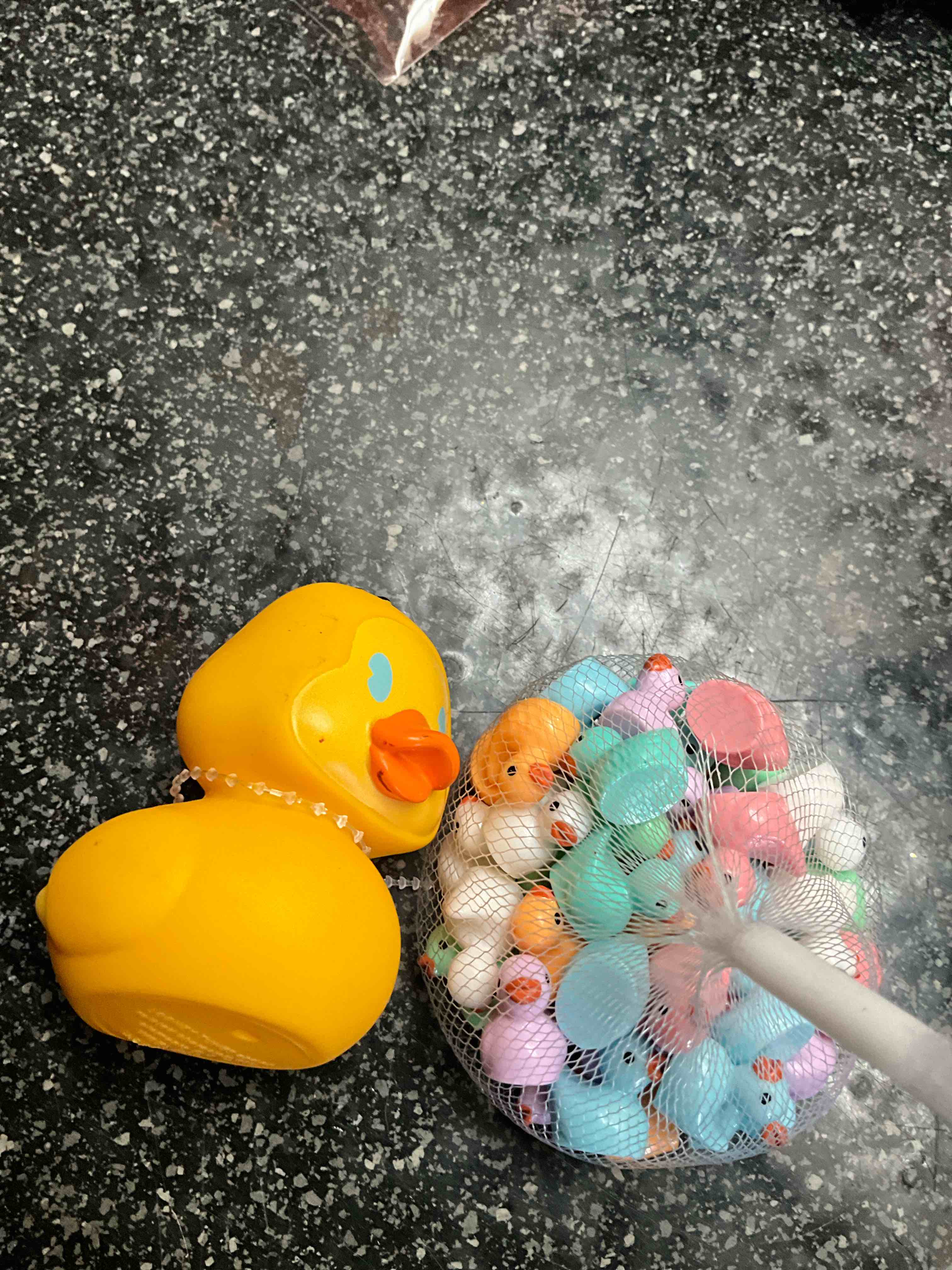Jeep Lovers - Lots & Lots Of DUCKS 