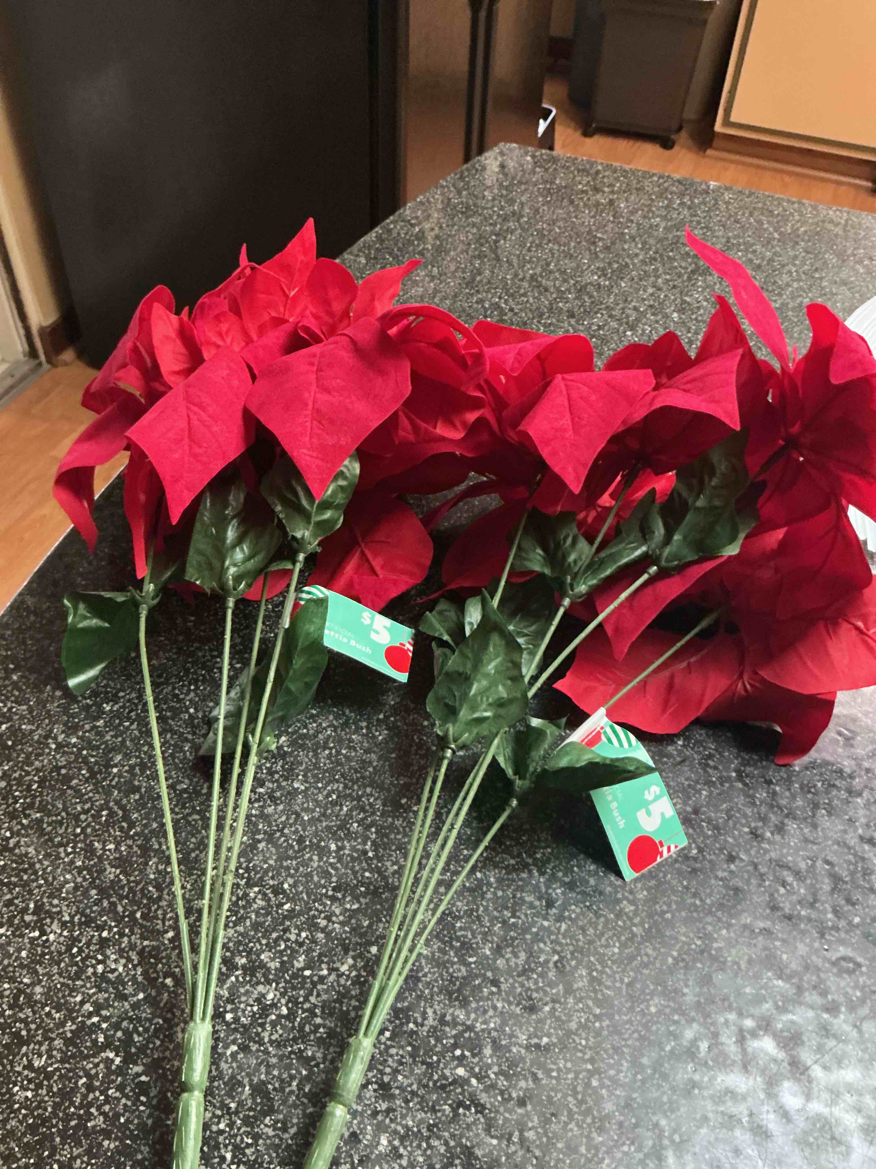 Poinsettia Bush Red In Color