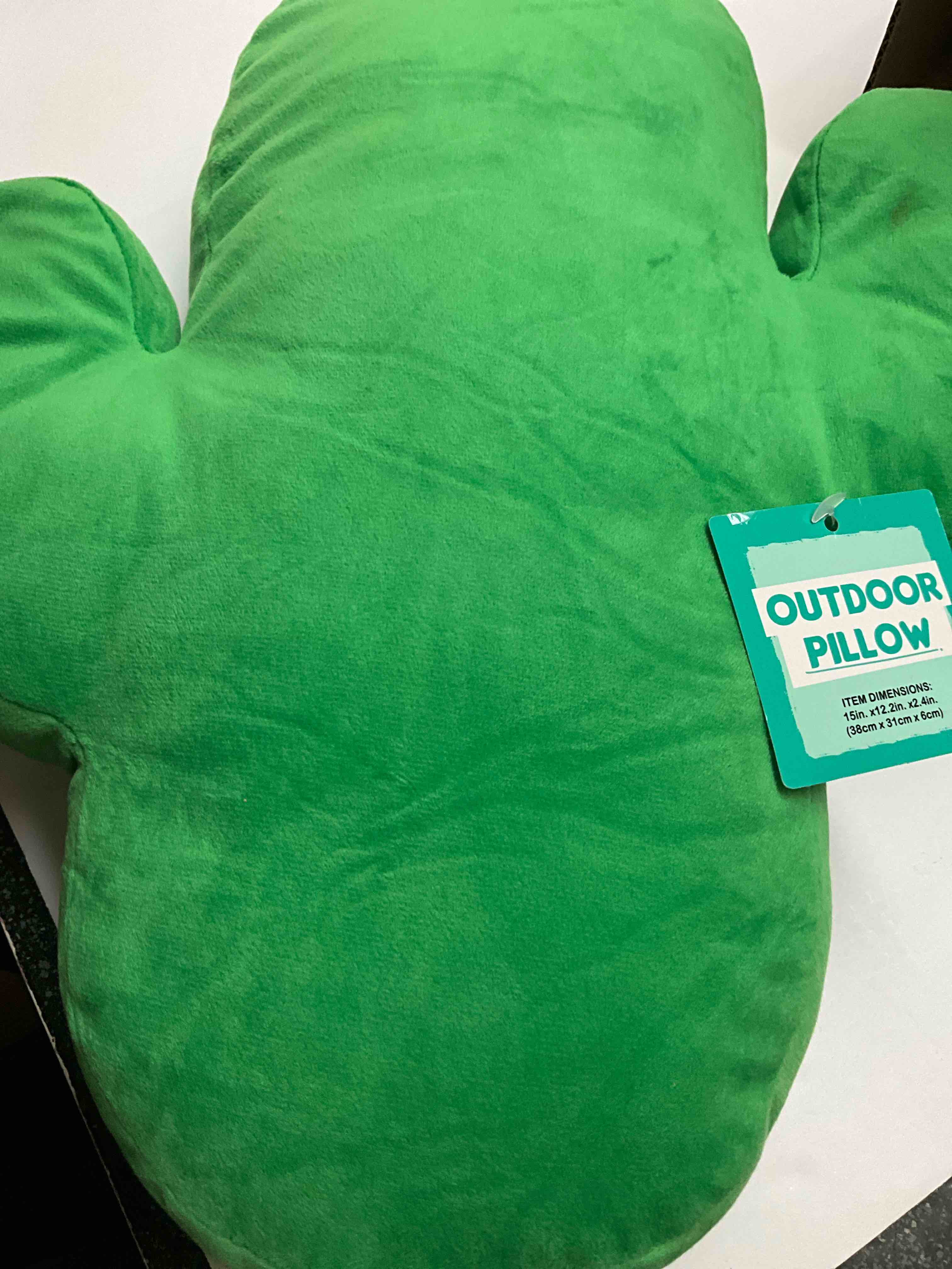 Cactus - Outdoor Pillow - 15” x 12.2” x 2.4” 