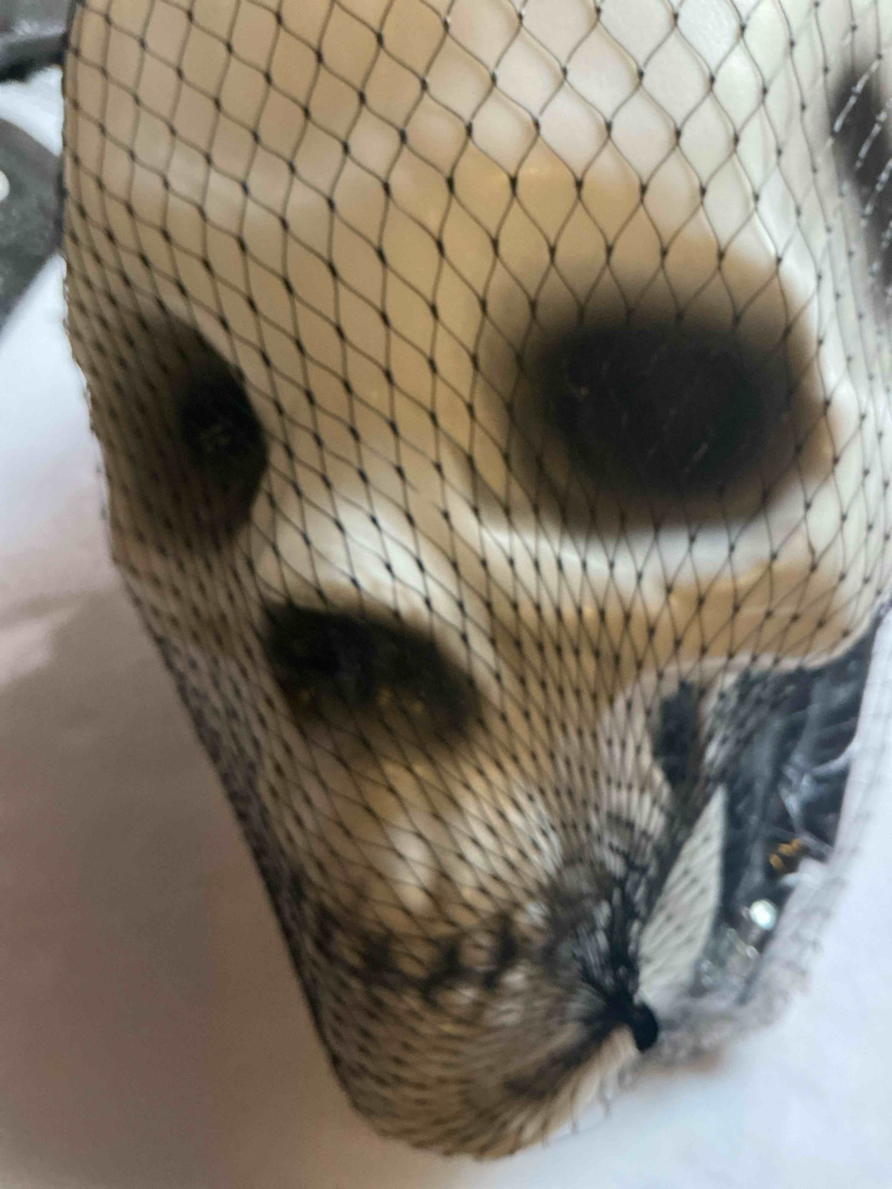 3 Pc. Bones Stake 