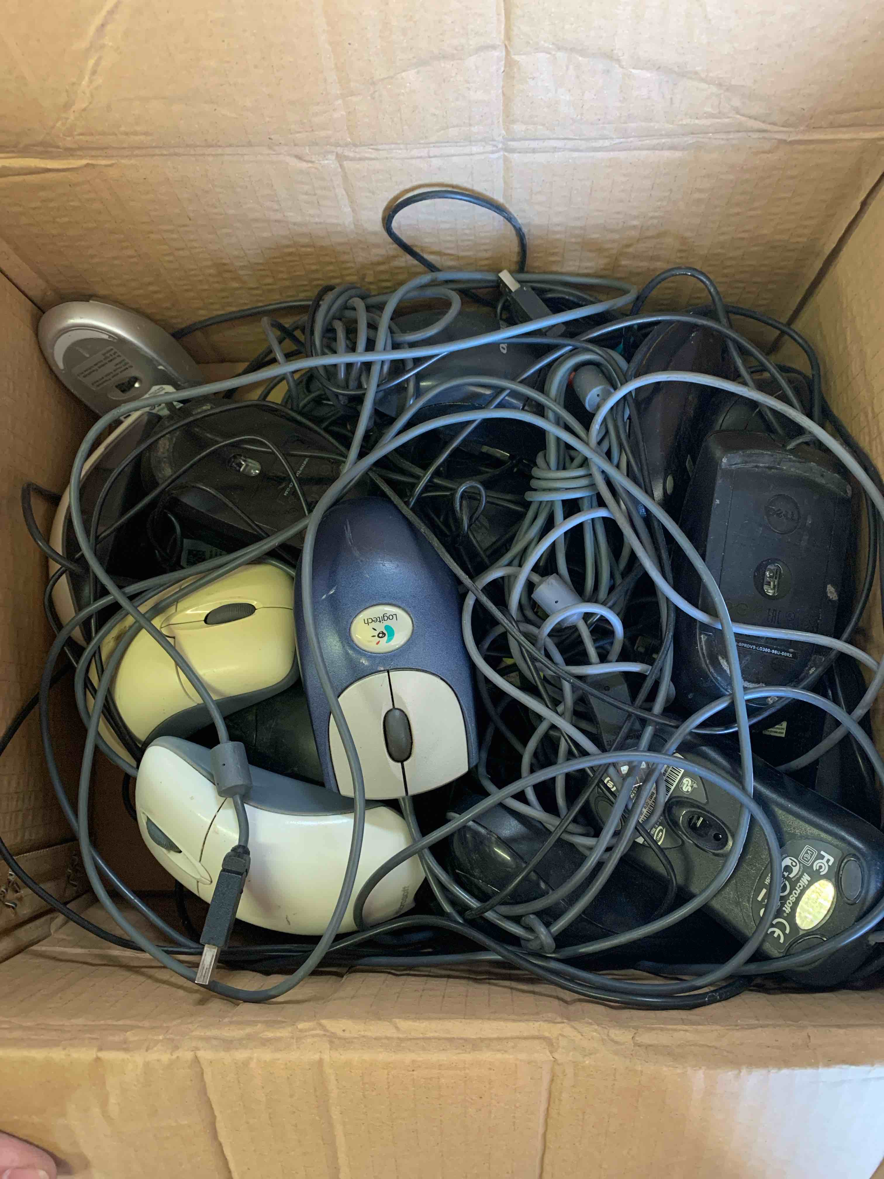 20 Used Mice