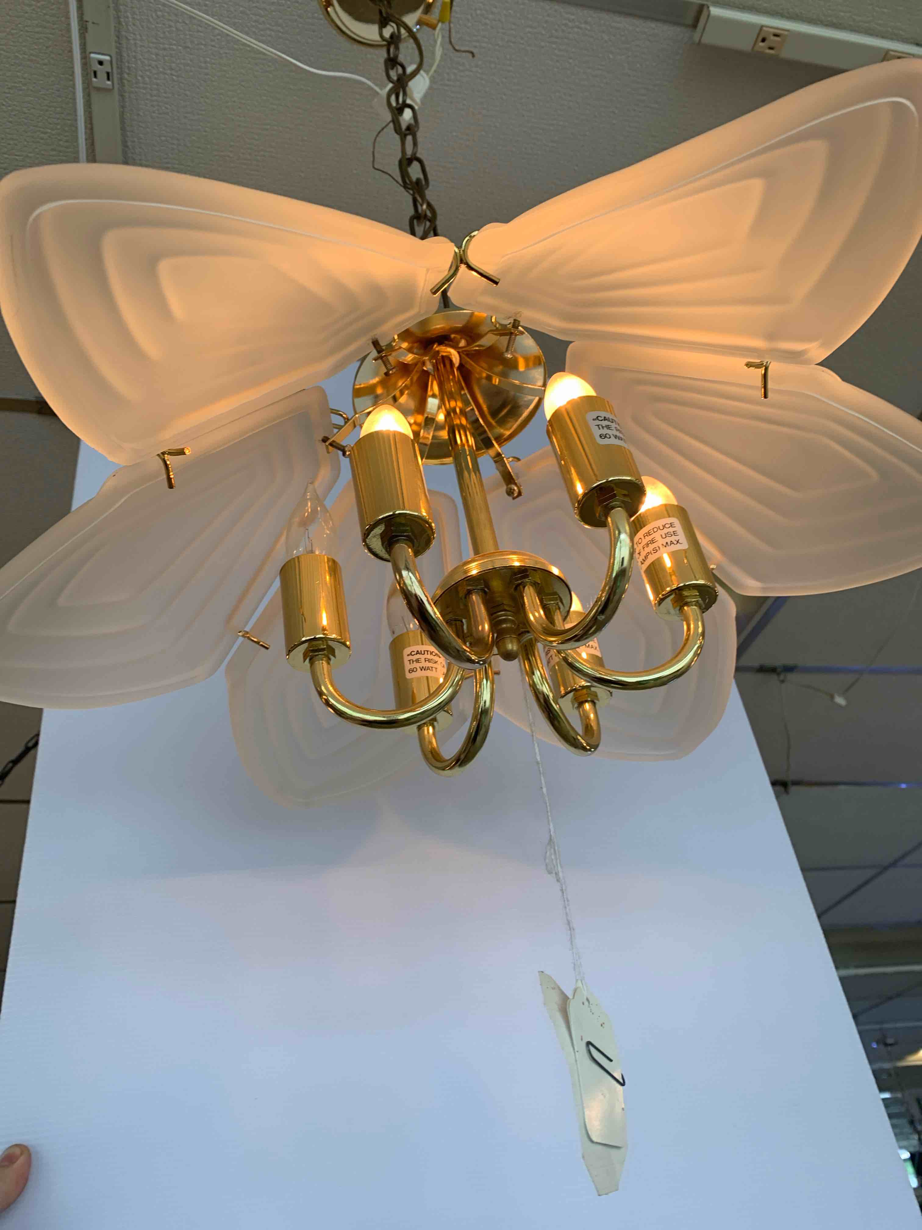 Elegant Chandelier 