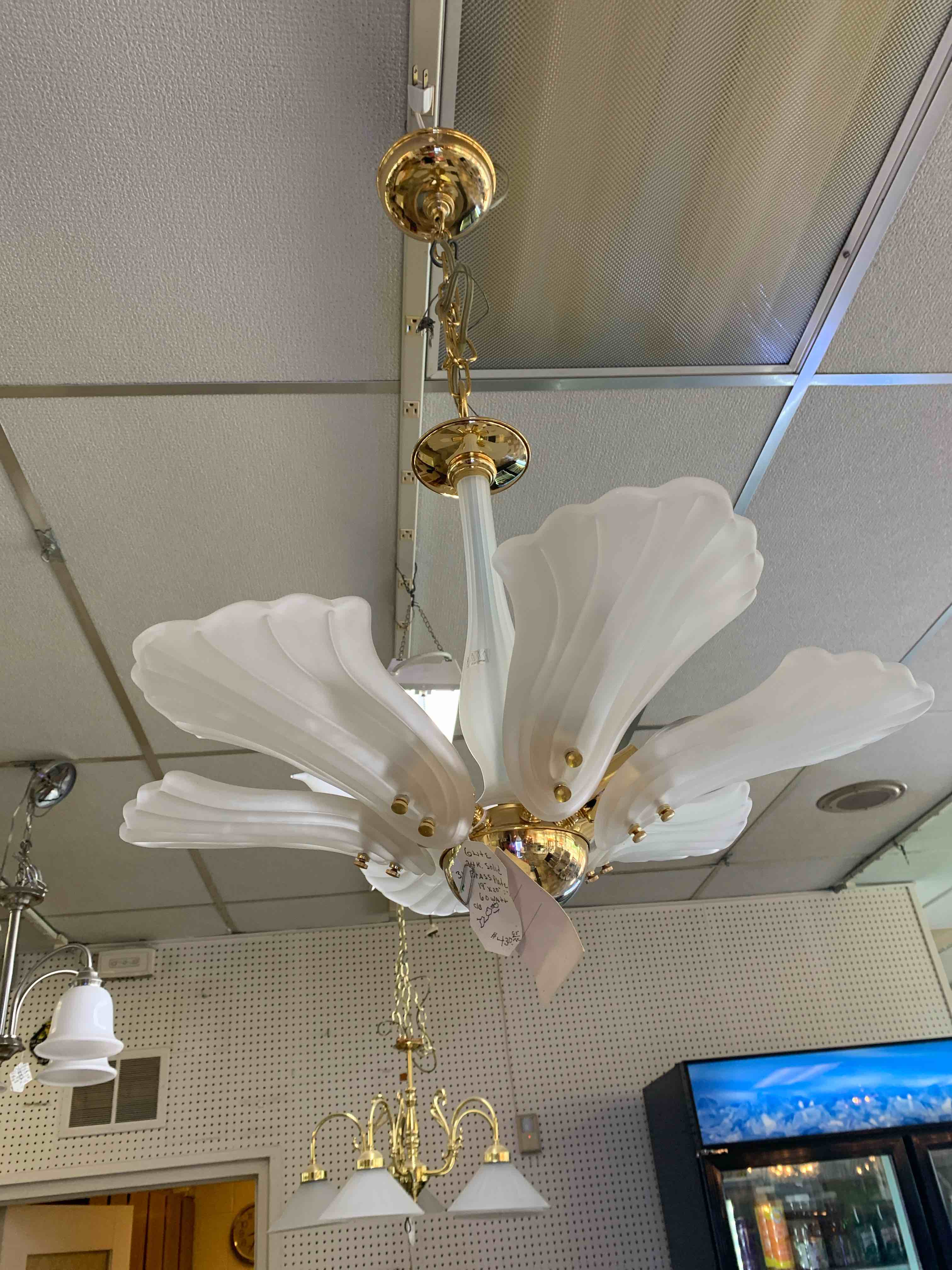 Elegant Chandelier 