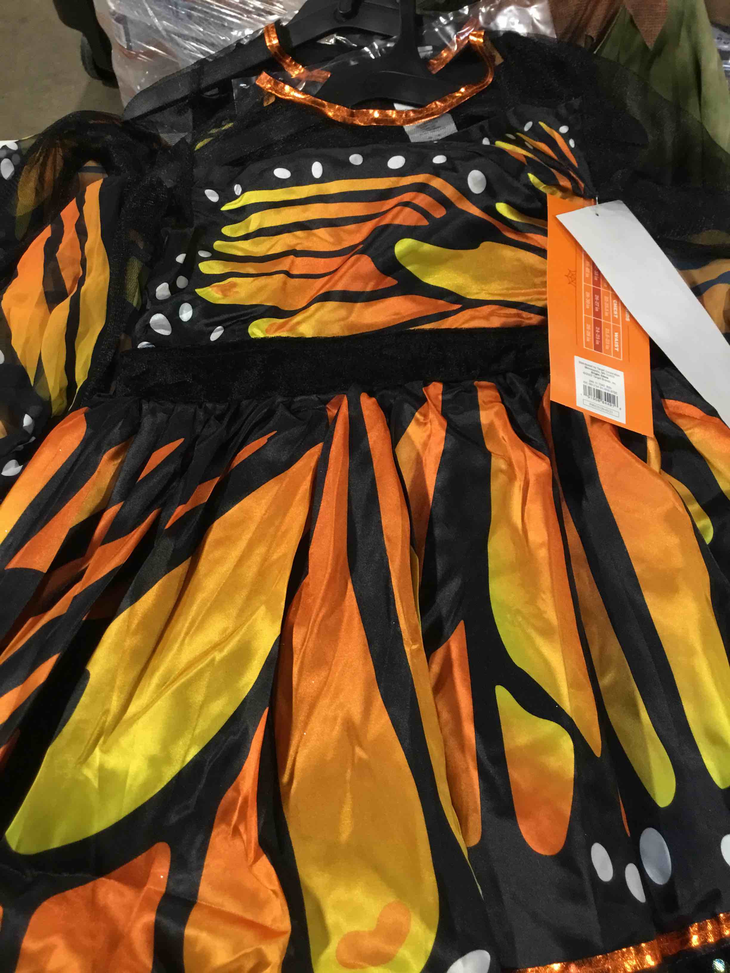 https://s3.amazonaws.com/lotting-images-prod/webster/TrickorTreat158_1695672615452.jpeg