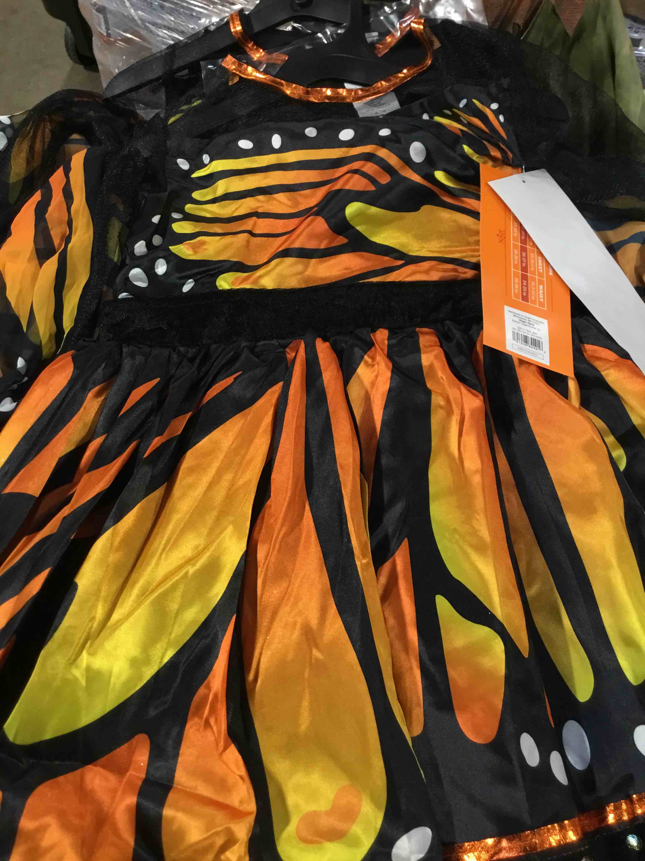 https://s3.amazonaws.com/lotting-images-prod/webster/TrickorTreat158_1695672616501.jpeg