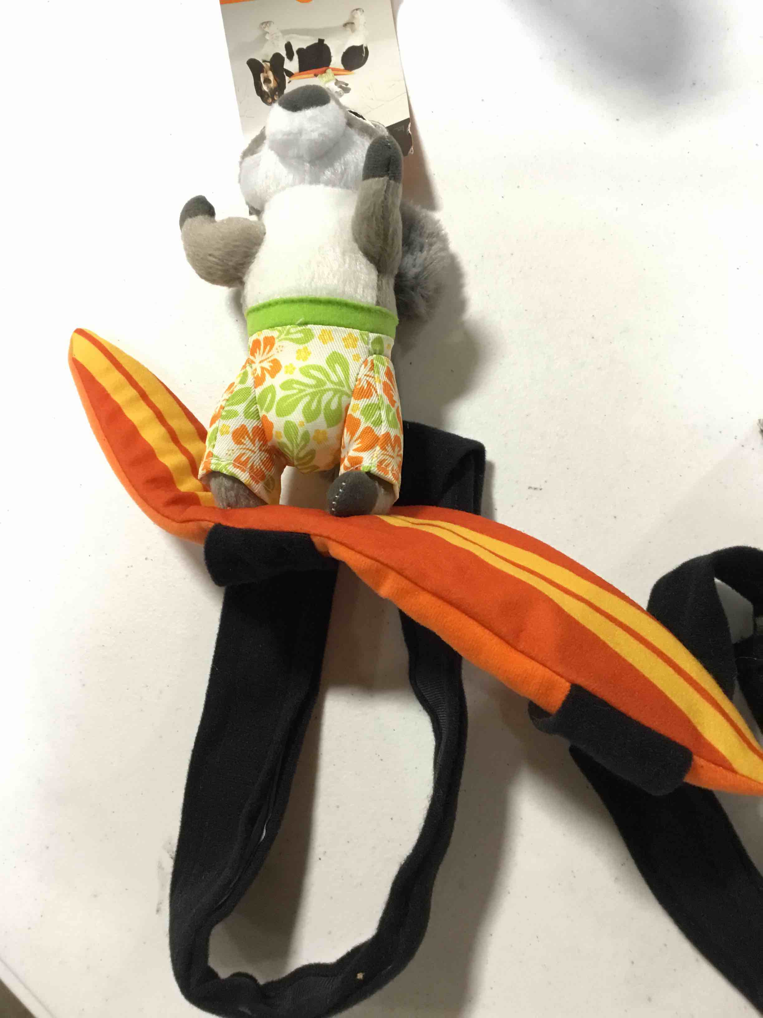 https://s3.amazonaws.com/lotting-images-prod/webster/TrickorTreat247_1695739466462.jpeg