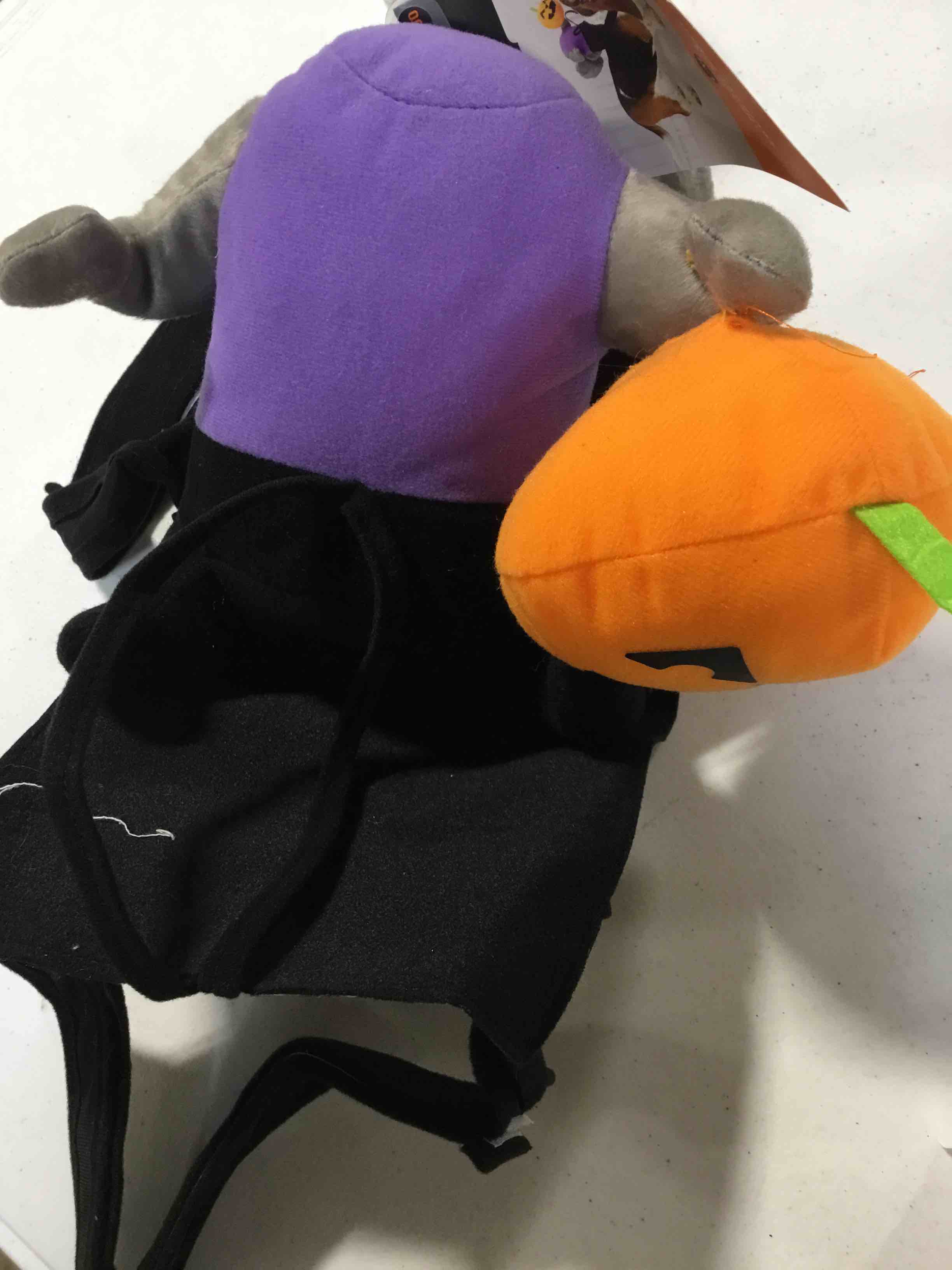 https://s3.amazonaws.com/lotting-images-prod/webster/TrickorTreat268_1695741582034.jpeg