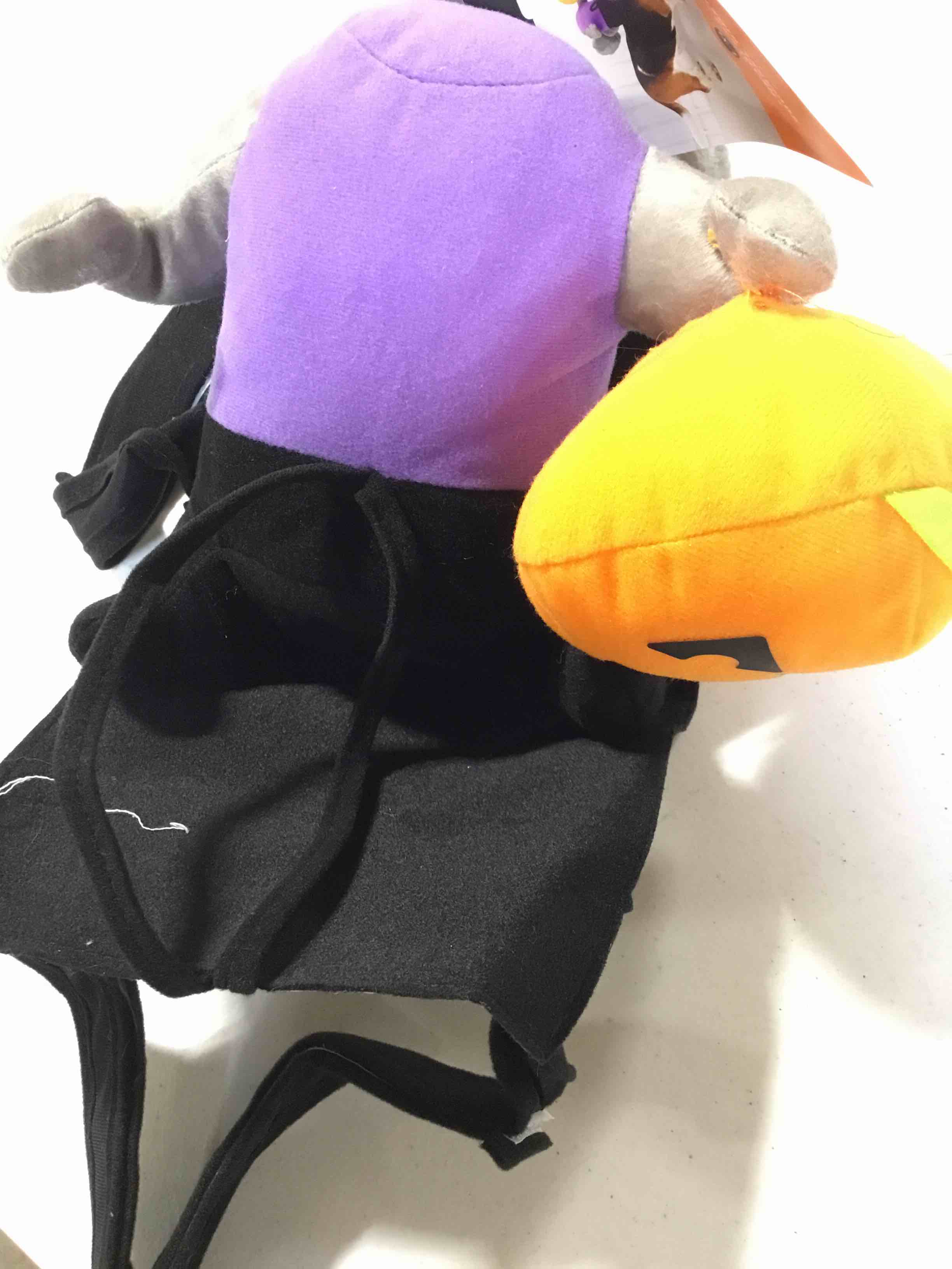 https://s3.amazonaws.com/lotting-images-prod/webster/TrickorTreat268_1695741583216.jpeg