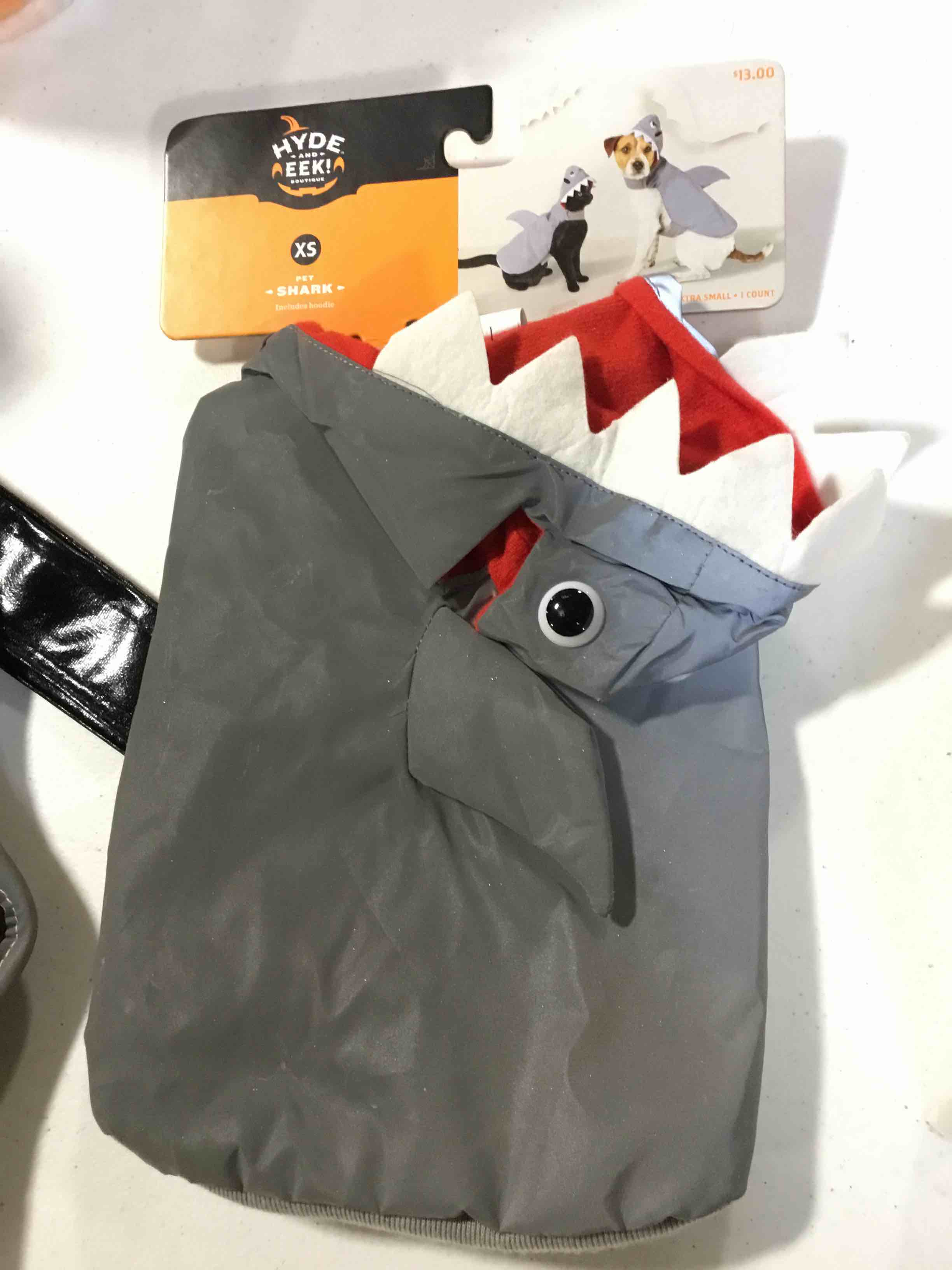 https://s3.amazonaws.com/lotting-images-prod/webster/TrickorTreat290_1695743257725.jpeg