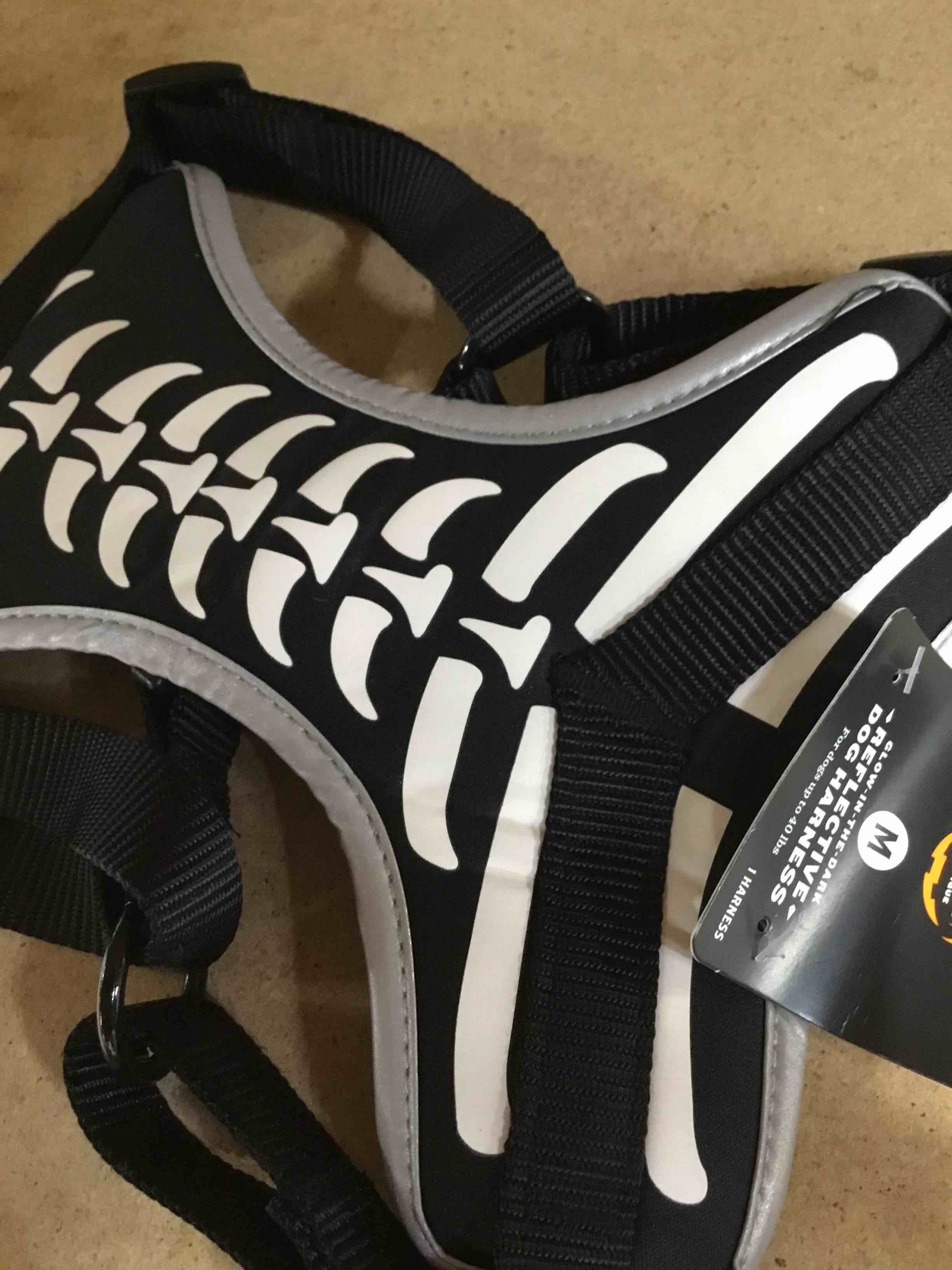 https://s3.amazonaws.com/lotting-images-prod/webster/TrickorTreat399_1696269133871.jpeg