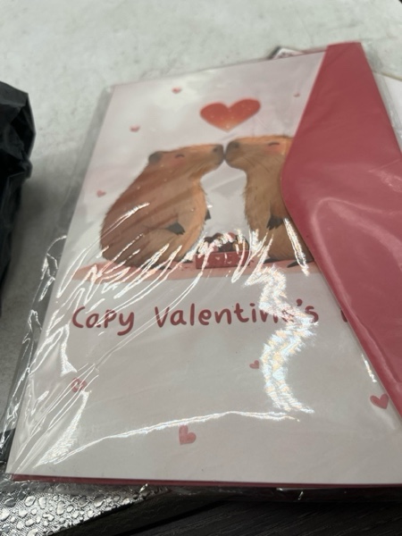 https://s3.amazonaws.com/lotting-images-prod/webster/WBS3132683_1747391415054.jpeg