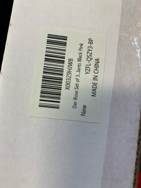 https://s3.amazonaws.com/lotting-images-prod/webster/WBS3144640_1751059497255.jpeg