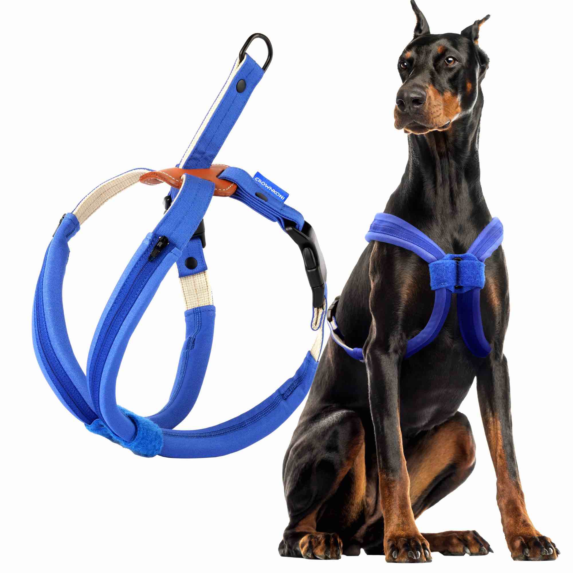 No Pull Dog Harness — Adjustable Lightweight for Small to Large Dogs Walking, No Choke, Leather, Heavy Duty, Easy Control, Comfortable Soft Padded Nylon Vest (Blue, Large)