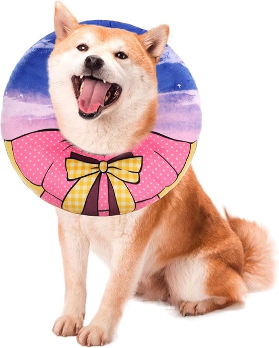 ROYALAY Soft Dog Cone for Pets, Adjustable Dog Collar Comfortable Lightweight Elizabethan Collar for Dogs and Cats, Alternative for After Surgery, Wound Care, Spay, Neuter from Licking Wounds,L