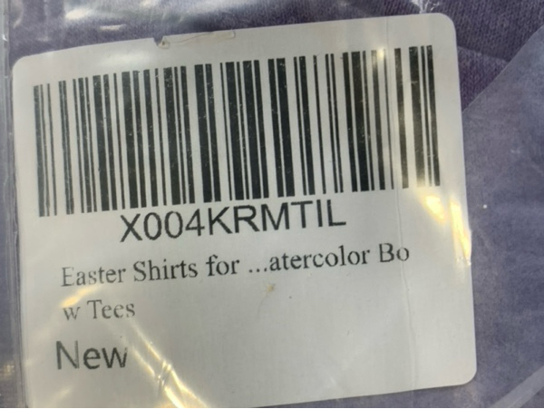 https://s3.amazonaws.com/lotting-images-prod/webster/WBS3156669_1755118610262.jpeg
