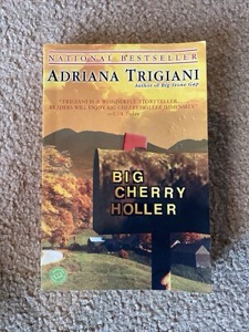 Big Stone Gap Ser.: Big Cherry Holler : A Novel by Adriana Trigiani