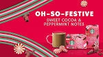 Starbucks Holiday Blend  Keurig Cup  10 count