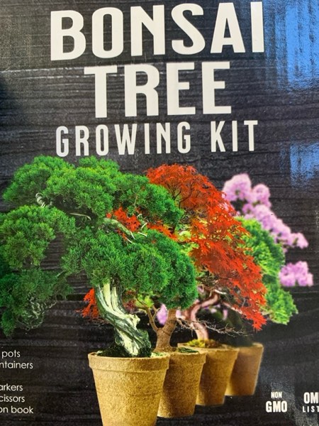 https://s3.amazonaws.com/lotting-images-prod/webster/WBS3173762_1760117388419.jpeg
