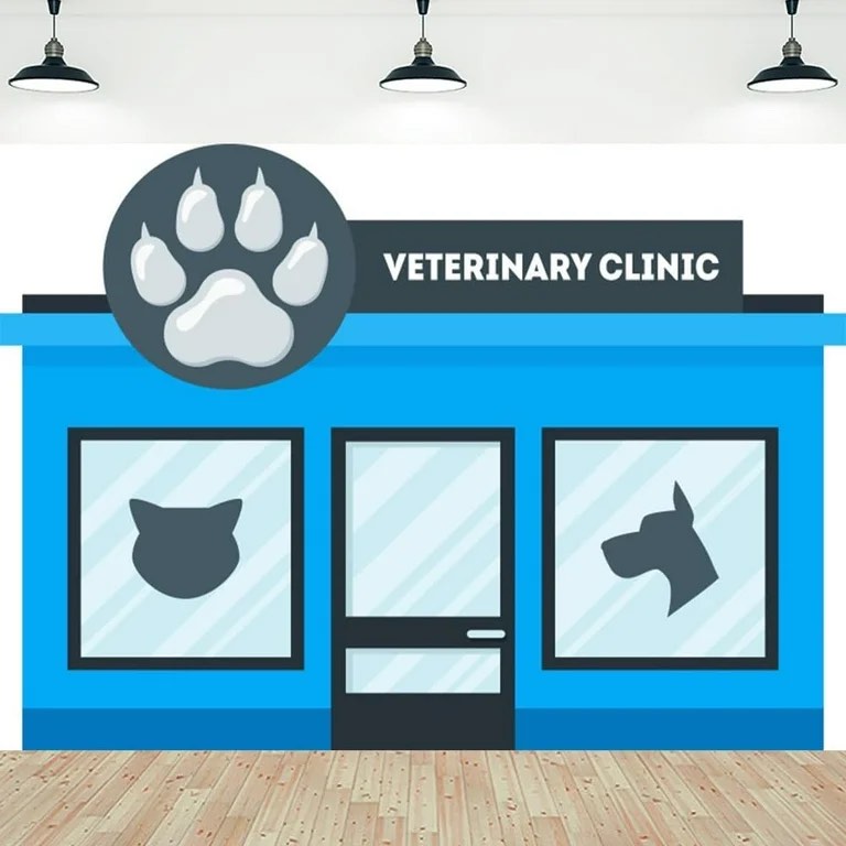 5x3ft pet clinic backdrop dog cat veterinary shop photography background blue house door window pets animals treat clinic wallpaper photo booth props