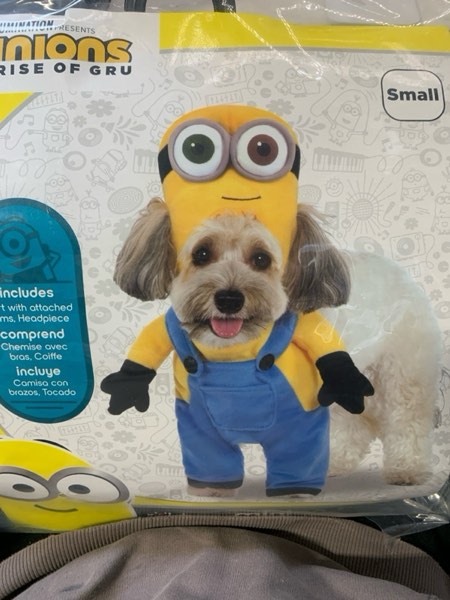 https://s3.amazonaws.com/lotting-images-prod/webster/WBS3175101_1760564953843.jpeg