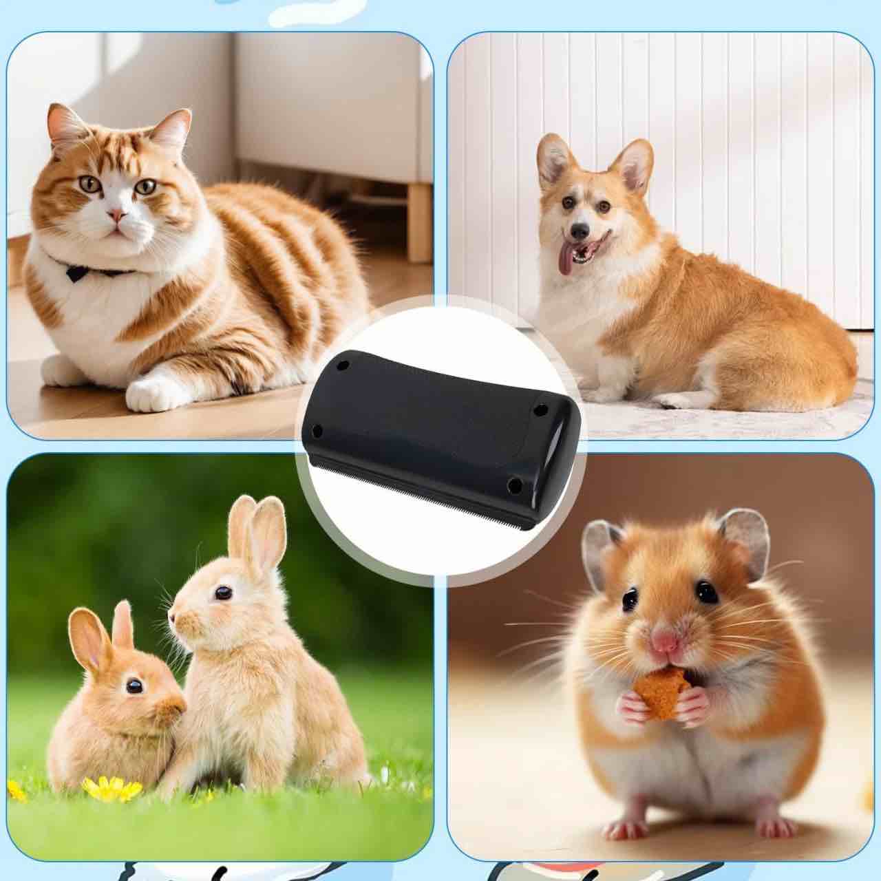https://s3.amazonaws.com/lotting-images-prod/webster/WBS3175295_1760686655270.jpeg