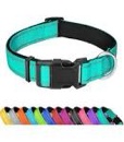 XS Dog Collar, Reflective Pet Collar with Buckle Adjustable Safety Nylon Collars for Small Medium La