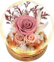 Preserved Flowers in Glass with LED Light Flowers for Delivery Prime Forever Roses Birthday Gifts