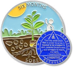 6 Month Sobriety Coin - Colorful Six Months Sober AA Coins - 1-12 Month Prime AA Chips and Medallion