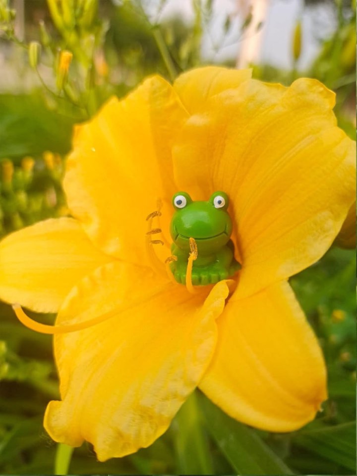 https://s3.amazonaws.com/lotting-images-prod/webster/WBS3203568_1737085372580.jpeg