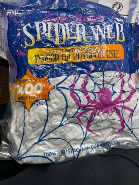 https://s3.amazonaws.com/lotting-images-prod/webster/WBS3203574_1737099563808.jpeg