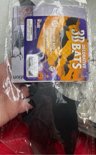 https://s3.amazonaws.com/lotting-images-prod/webster/WBS3209633_1739045227104.jpeg