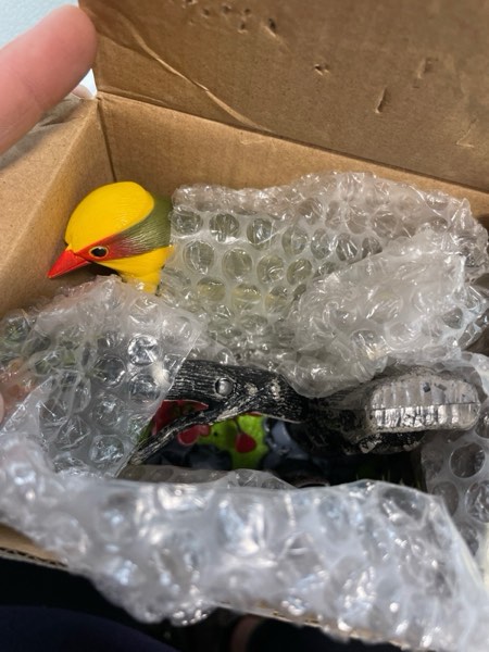 https://s3.amazonaws.com/lotting-images-prod/webster/WBS3232636_1746030669536.jpeg