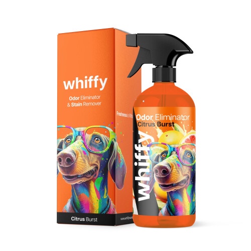 750ml | XL Pet Odor Eliminator - Orange/Citrus, for Home, Carpets, Furniture, and More - Cats & Dogs- 24oz