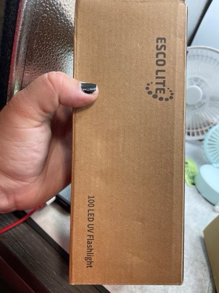 https://s3.amazonaws.com/lotting-images-prod/webster/WBS3250203_1751041261192.jpeg