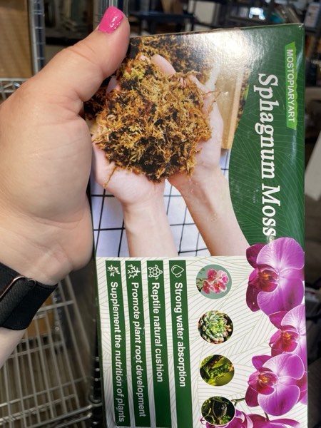 https://s3.amazonaws.com/lotting-images-prod/webster/WBS3251550_1751471597013.jpeg