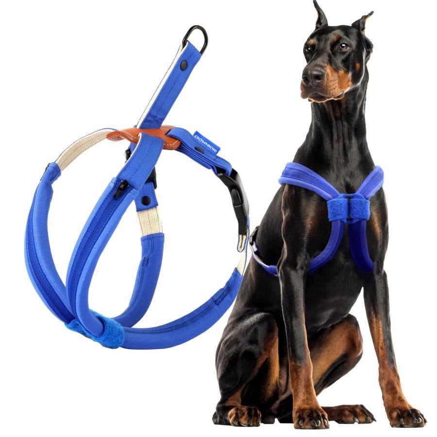 CROWN KONI No Pull Dog Harness Adjustable Lightweight for Small to Large Dogs Walking, No Choke, Leather, Heavy Duty, Easy Control, Comfortable Soft Padded Nylon Vest (Blue, Large)