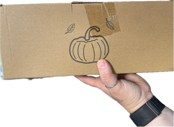 https://s3.amazonaws.com/lotting-images-prod/webster/WBS3256579_1752877562128.jpeg