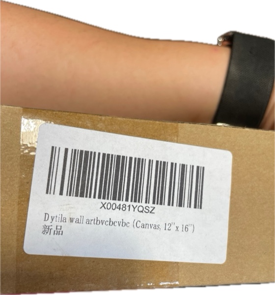 https://s3.amazonaws.com/lotting-images-prod/webster/WBS3260480_1754338060956.jpeg