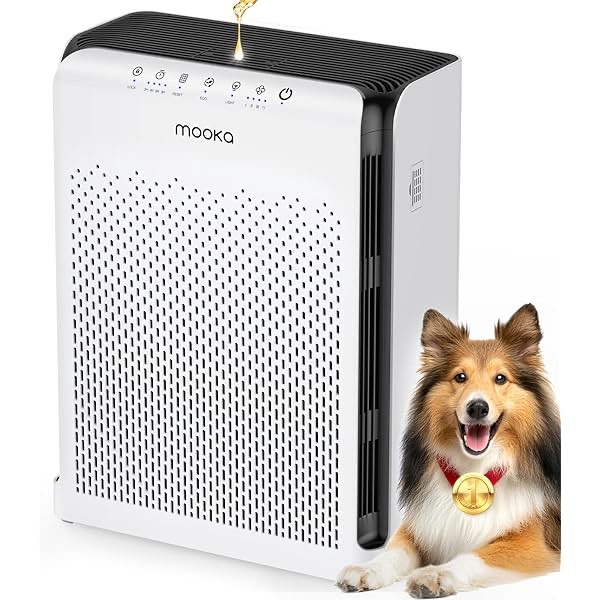 RKIN Smart Air Purifier - Large Room Air Purifier with PM2.5 Monitor, WiFi & App Control for Pet Hair, Odors, Pollen & Smoke for Home
